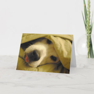 Carte rester au lit jusqu'à mardi