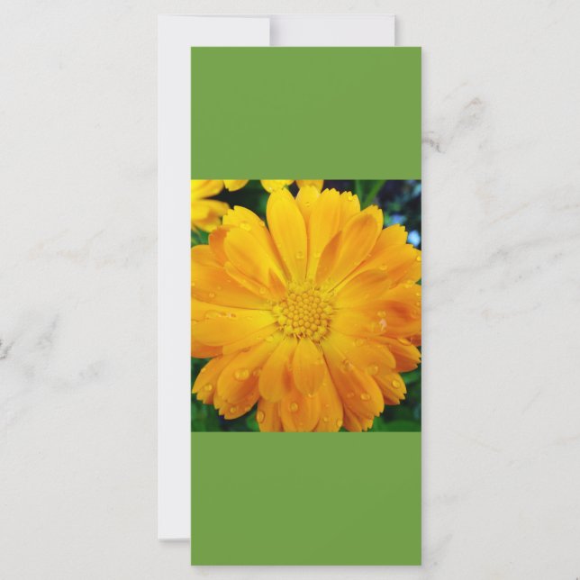 Carte restez calme et lisez, signet marguerrier jaune (Devant)