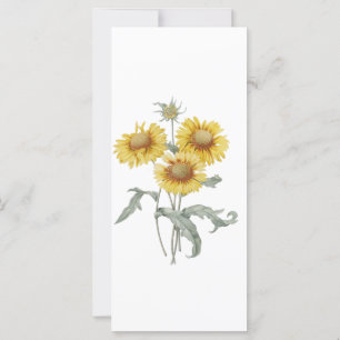 Carte restez calme et lisez, tournesol signet