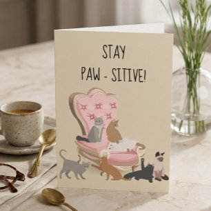 Carte Restez Paw-sitif Positif Drôle Chat Pensée Pour Vo
