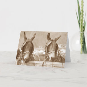 Carte Restin' Easy