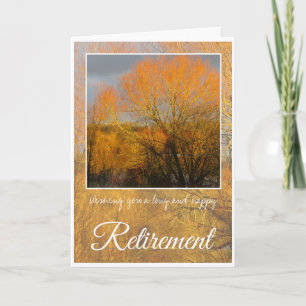 Carte Retraite, arbres d'hiver baisés par le soleil.
