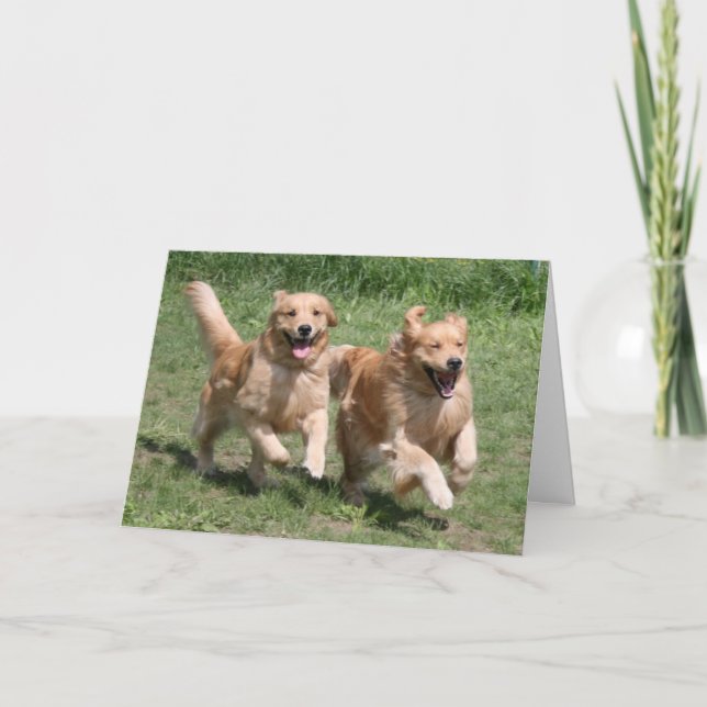 Carte Retriever doré Où est la fête ? (Devant)