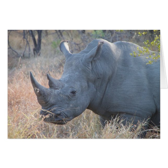 Carte Rhino (Devant horizontal)