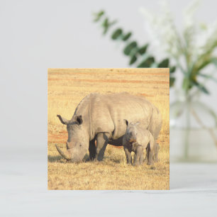 Carte rhinocéros mignons en afrique