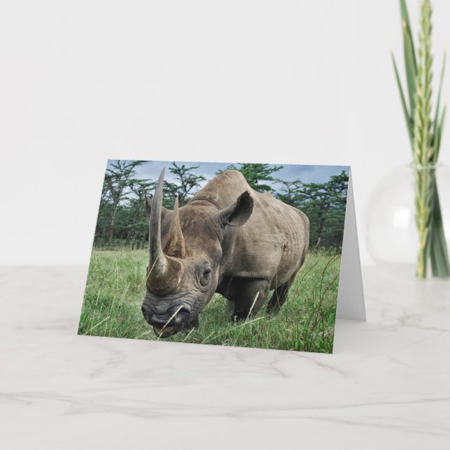 Carte Rhinoceros noir| Kenya (Devant)