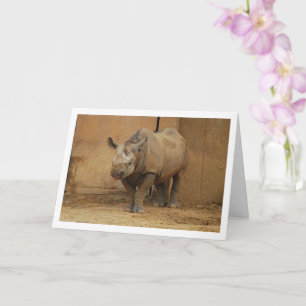 Carte Rhinoceros Portrait