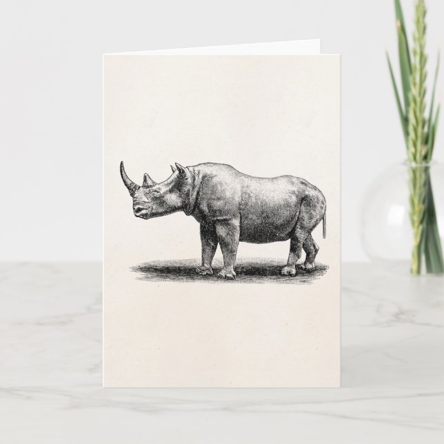 Carte Rhinoceros vintage Illustration Rhino Rhinos (Devant)