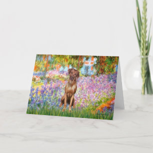 Carte Rhodesian Ridgeback 1 - Jardin