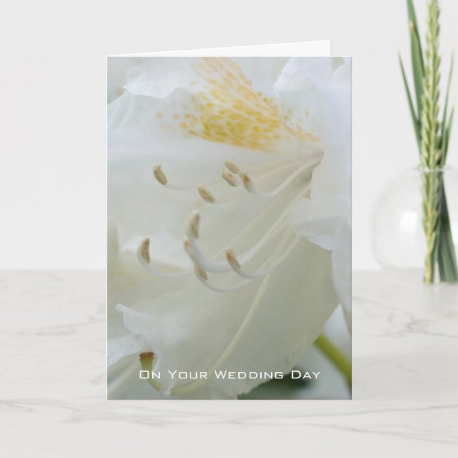Carte Rhododendron blanc | Congratulation de Wedding (Devant)