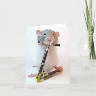 Carte Rien N'Est Impossible