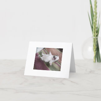 Carte Rire Bulldog Chiot