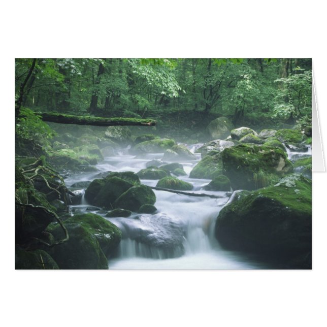 CARTE - RIVER (Devant horizontal)