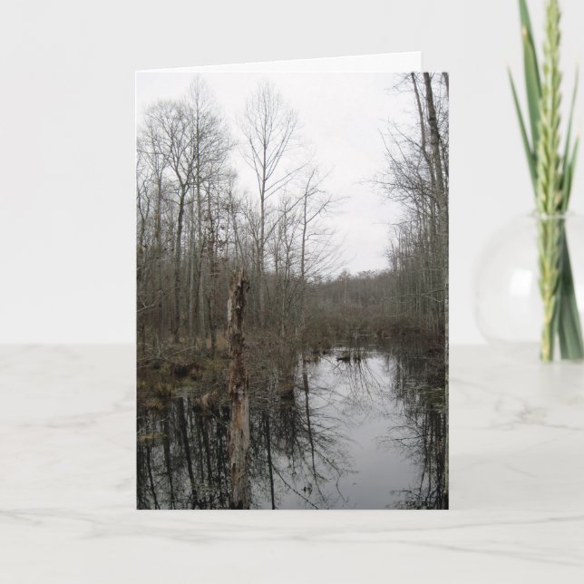 Carte Rivière à travers la nature sauvage (Devant)