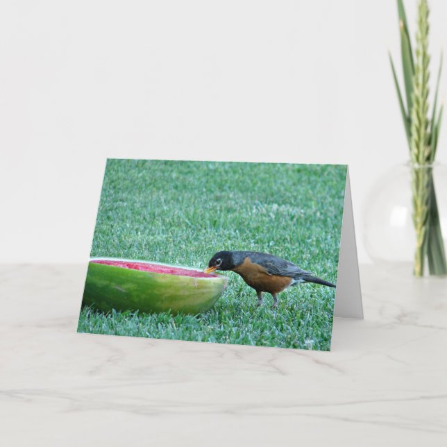 Carte Robin aime la pastèque, 4 juillet (Devant)