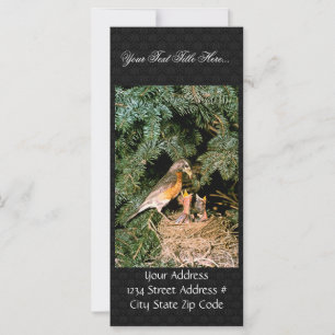 Carte Robin avec poules