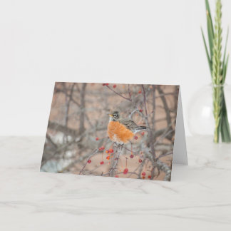 Carte Robin d'hiver 1