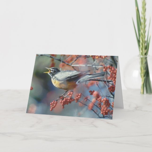 Carte Robin mangeant la baie (Devant)