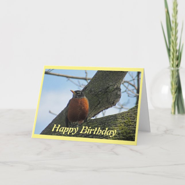 Carte Robin Photographie Anniversaire (Devant)