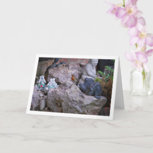 Carte Robin Rouge Sur Rockery