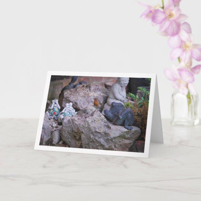 Carte Robin Rouge Sur Rockery (Orchidée)