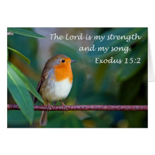 Carte Robin Song