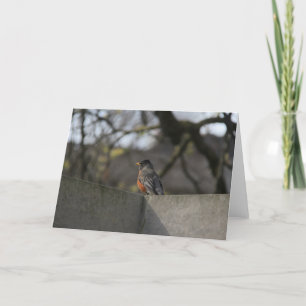 Carte Robin sur le mur