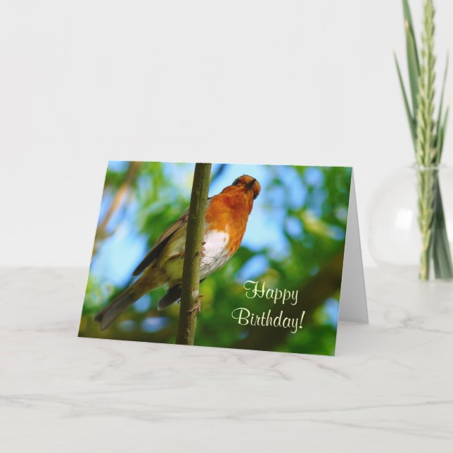 CARTE ROBINS (Devant)