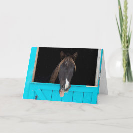 Carte Rocky Mountain Yawn