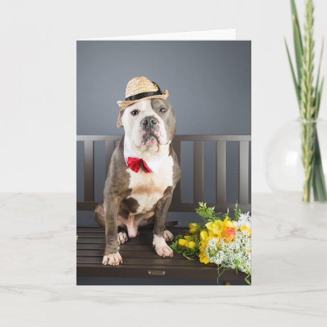 Carte Romance (Devant)