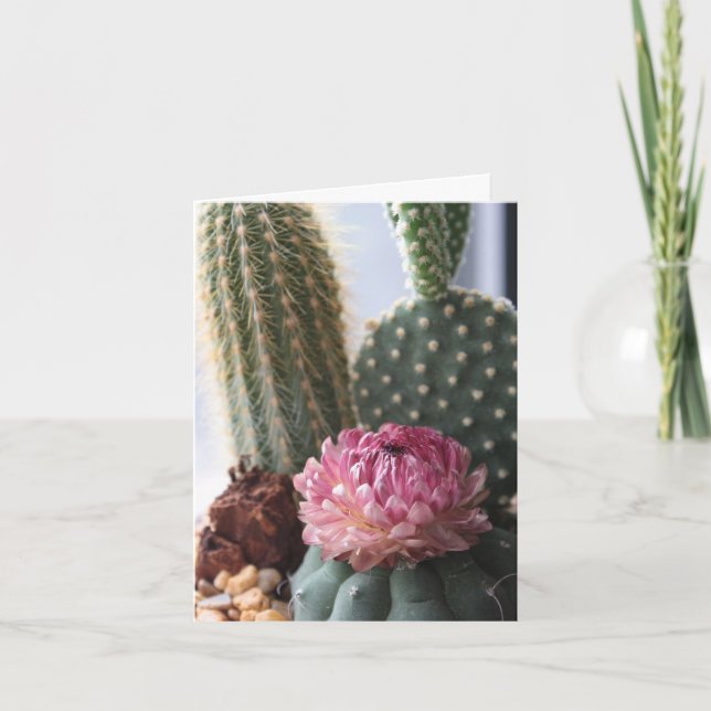 Carte Romans 8:37 Cactus (Devant)