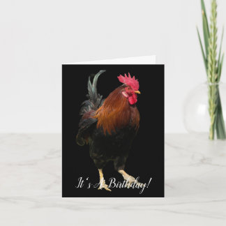 CARTE ROOSTER ON BLACK PHOTO BIRTHDAY GREETING CARD