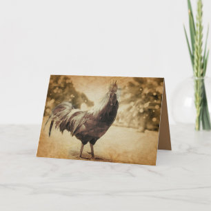 Carte Rooster photo Vintage