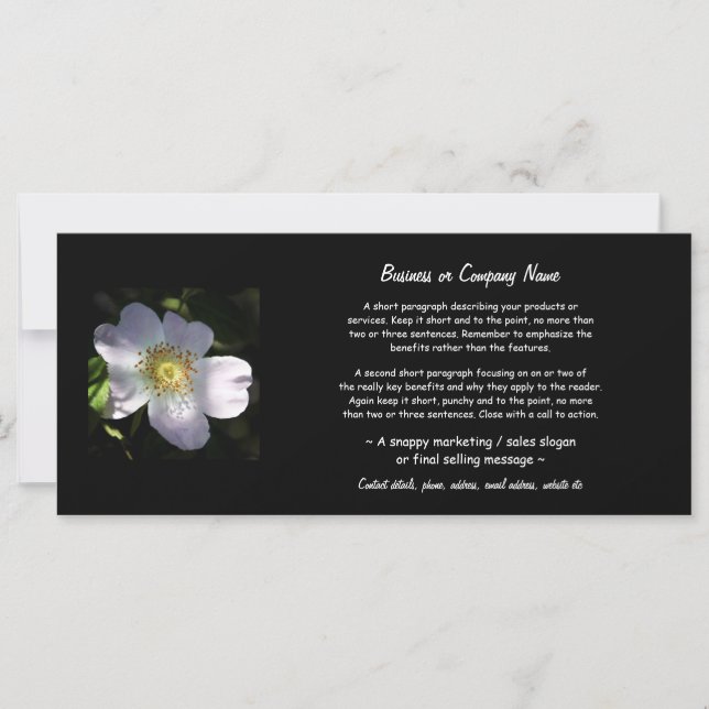 Carte Rosa Canina - Rose de chien (Devant)