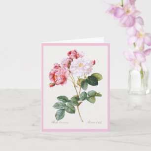 Carte Rosa Damascena, Joyeux anniversaire