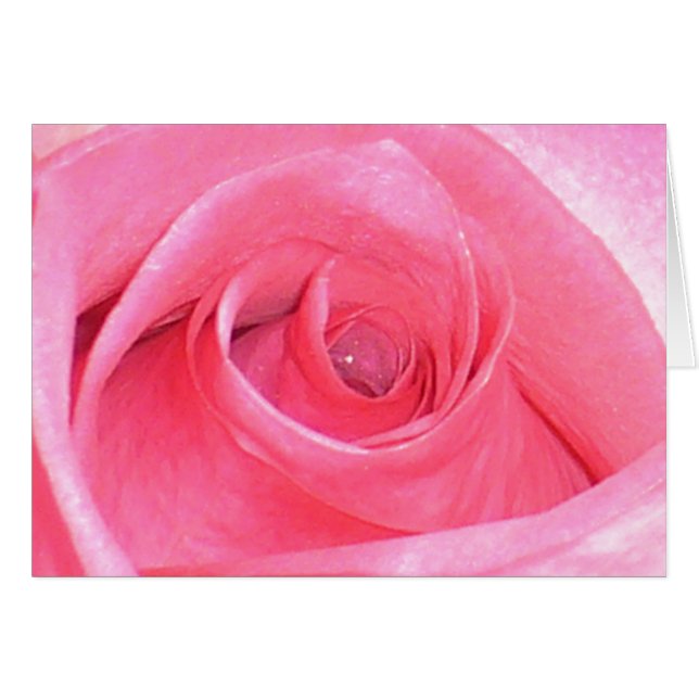 Carte rose (Devant horizontal)