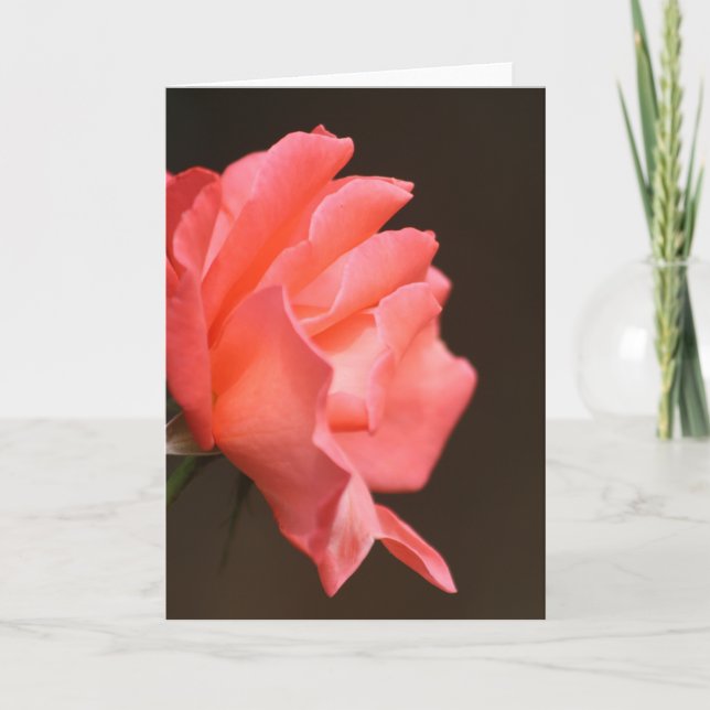 Carte Rose (Devant)