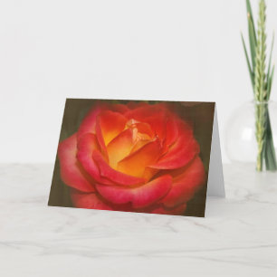 Carte Rose à flamme sur parchemin