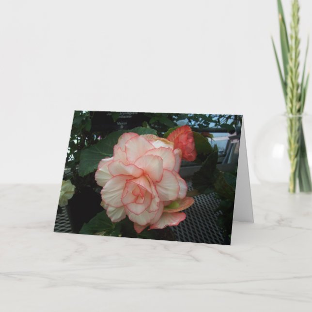 Carte Rose blanc avec le bord rose (Devant)
