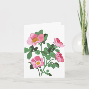 Carte Rose blanc foncé rose foncé