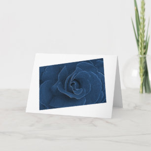 Carte Rose bleu velours