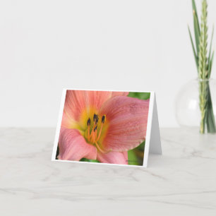 Carte Rose Daylily