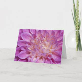 Carte rose de dahlia