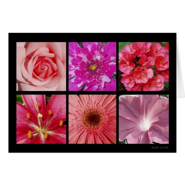 Carte rose de fleur (Devant horizontal)