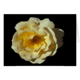 Carte rose de Mac de whiskey