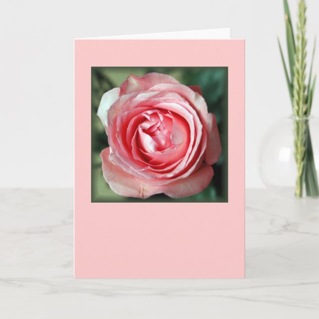 Carte "Rose de rose" (blanc) (Devant)