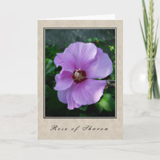 Carte Rose de Sharon - Floral Series