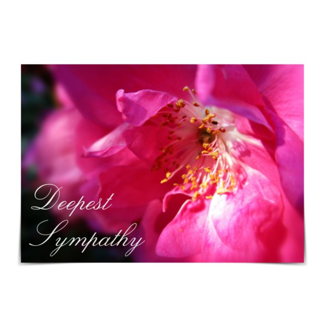 Carte Rose "Deepest Sympathy" Rose Rugosa (Créateur téléchargé)