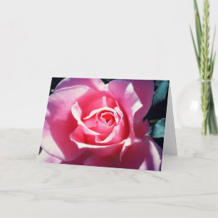 Carte rose élégante de Valentine de roses