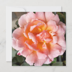 Carte rose en automne